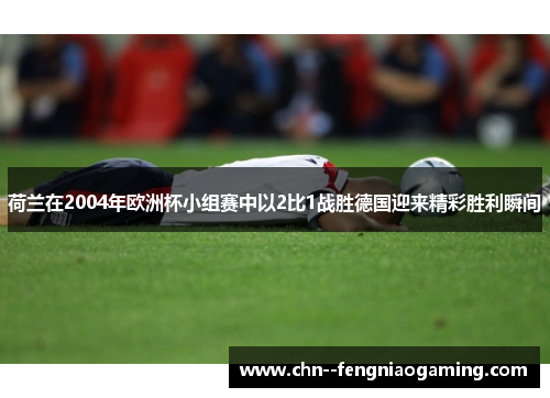 荷兰在2004年欧洲杯小组赛中以2比1战胜德国迎来精彩胜利瞬间