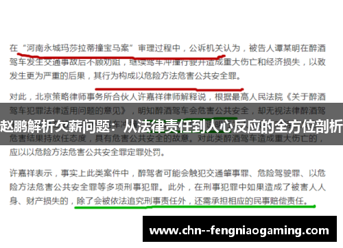 赵鹏解析欠薪问题:从法律责任到人心反应的全方位剖析 赵鹏解析欠薪问题:从法律责任到人心反应的全方位剖析