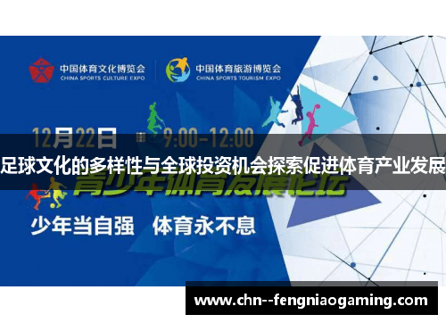 足球文化的多样性与全球投资机会探索促进体育产业发展