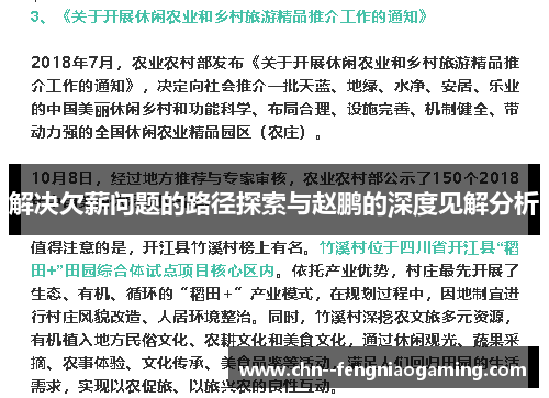 解决欠薪问题的路径探索与赵鹏的深度见解分析