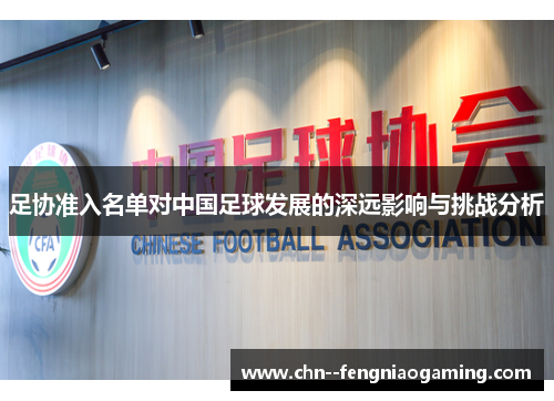 足协准入名单对中国足球发展的深远影响与挑战分析