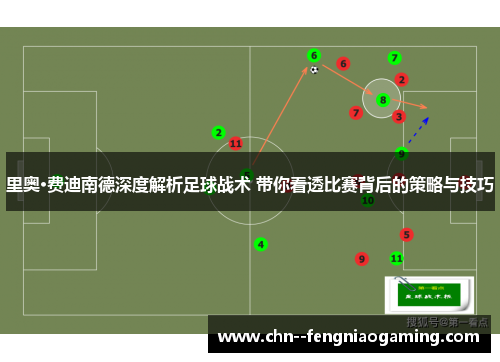 里奥·费迪南德深度解析足球战术 带你看透比赛背后的策略与技巧