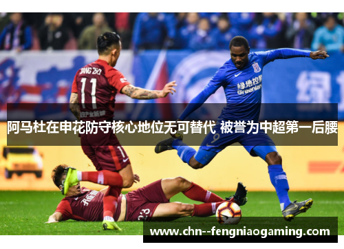 阿马杜在申花防守核心地位无可替代 被誉为中超第一后腰