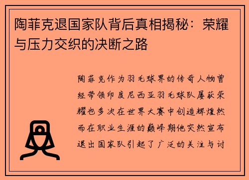 陶菲克退国家队背后真相揭秘：荣耀与压力交织的决断之路