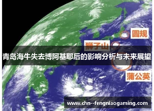 青岛海牛失去博阿基耶后的影响分析与未来展望