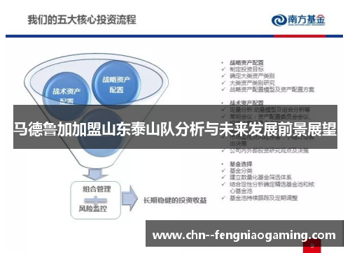 马德鲁加加盟山东泰山队分析与未来发展前景展望