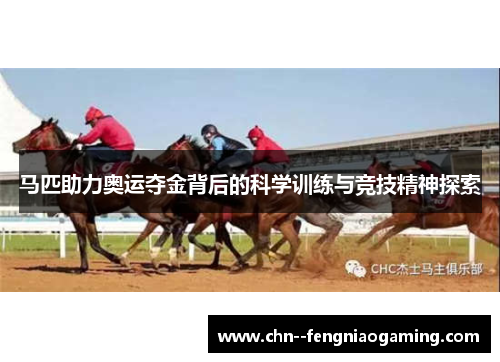 马匹助力奥运夺金背后的科学训练与竞技精神探索