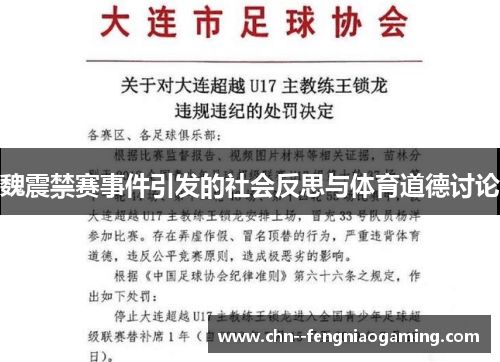 魏震禁赛事件引发的社会反思与体育道德讨论