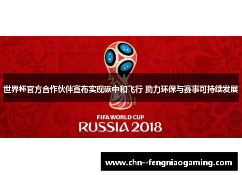 世界杯官方合作伙伴宣布实现碳中和飞行 助力环保与赛事可持续发展