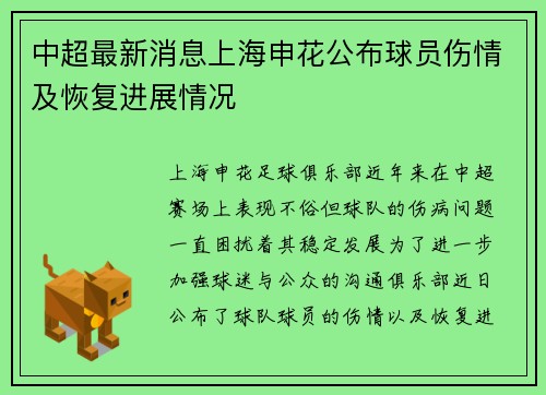 中超最新消息上海申花公布球员伤情及恢复进展情况 中超最新消息上海申花公布球员伤情及恢复进展情况