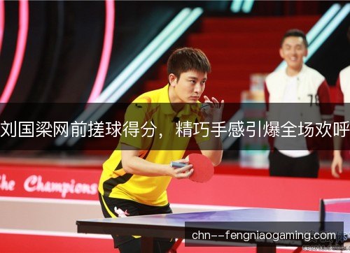 刘国梁网前搓球得分，精巧手感引爆全场欢呼